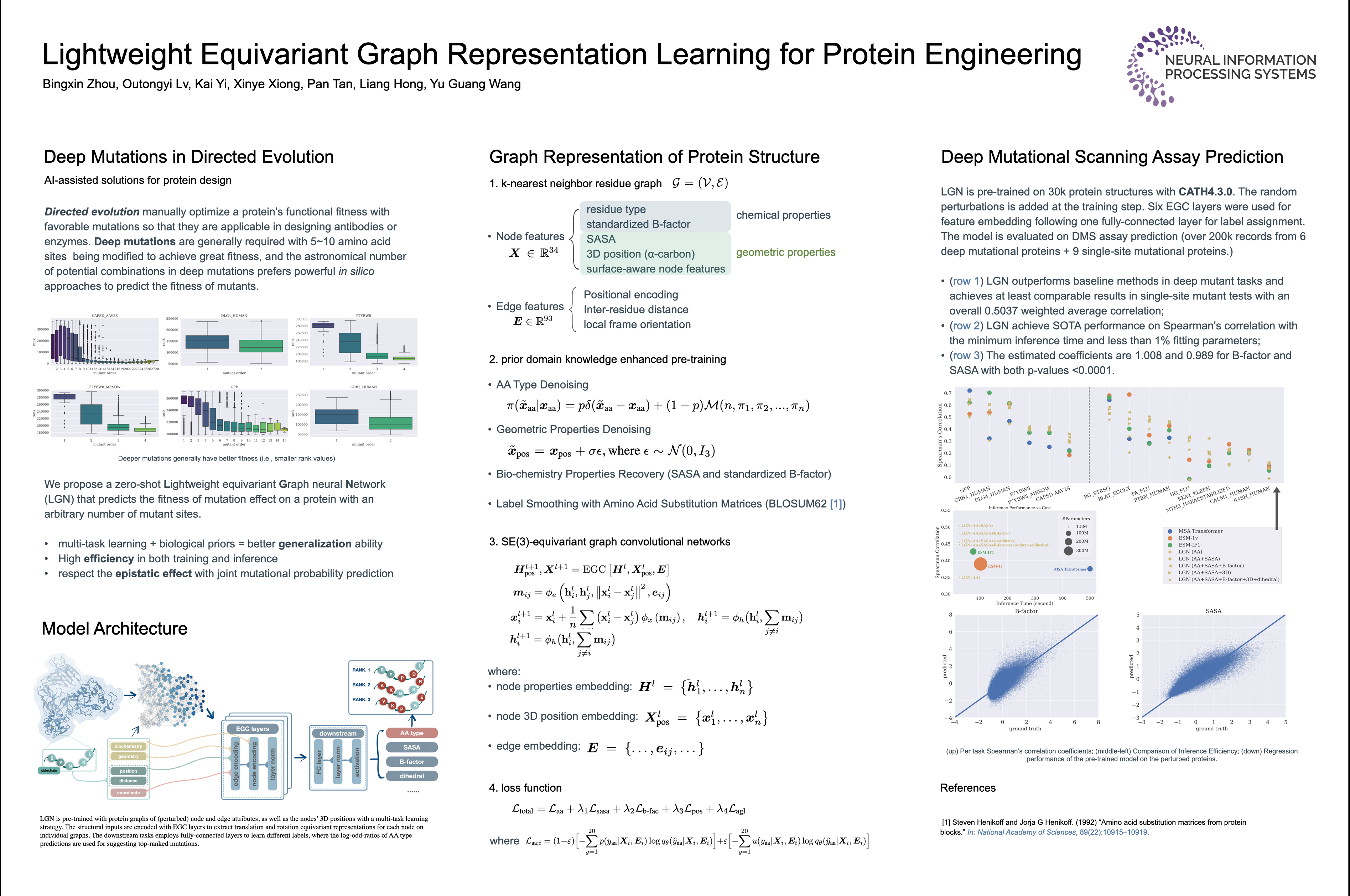 lightweight equivariant graph representation learning for protein engineering